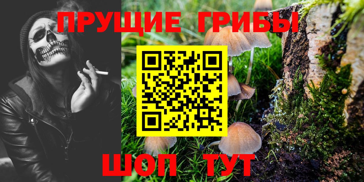 Галлюциногенные грибы Psilocybine cubensis Кстово
