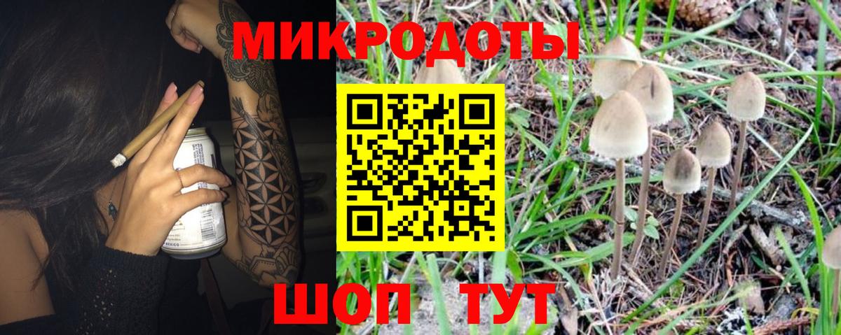 Псилоцибиновые грибы Psilocybine cubensis  Вход с VPN  Кстово 